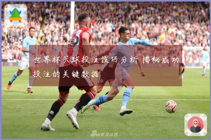 世界杯买球投注技巧分析 揭秘成功投注的关键数据
