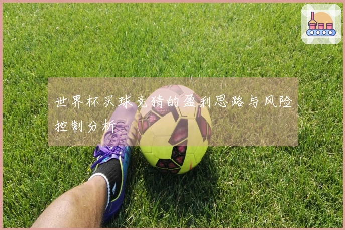 世界杯买球竞猜的盈利思路与风险控制分析