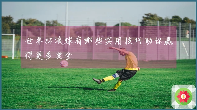 世界杯滚球有哪些实用技巧助你赢得更多奖金