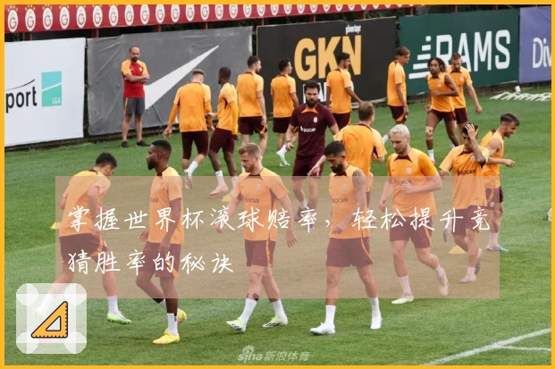 掌握世界杯滚球赔率，轻松提升竞猜胜率的秘诀