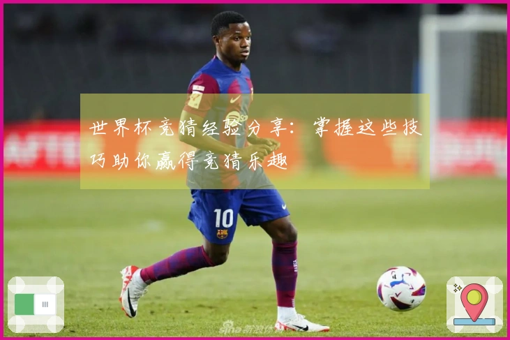 世界杯竞猜经验分享：掌握这些技巧助你赢得竞猜乐趣