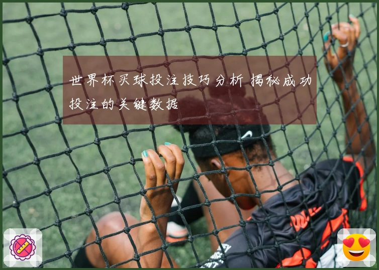 世界杯买球投注技巧分析 揭秘成功投注的关键数据