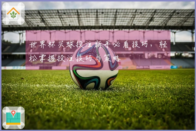 世界杯买球投注新手必看技巧，轻松掌握投注技巧与策略