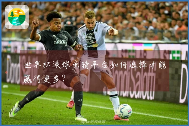 世界杯滚球竞猜平台如何选择才能赢得更多？