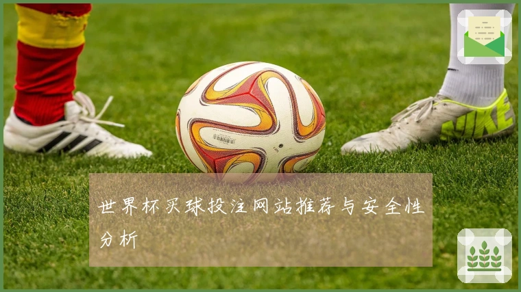 世界杯买球投注网站推荐与安全性分析